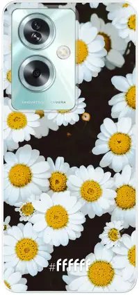 Daisies A79