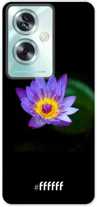 Purple Flower in the Dark A79