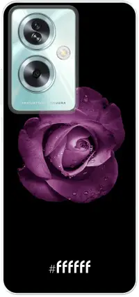 Purple Rose A79