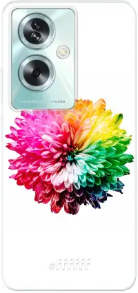 Rainbow Pompon A79