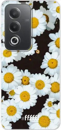 Daisies A80