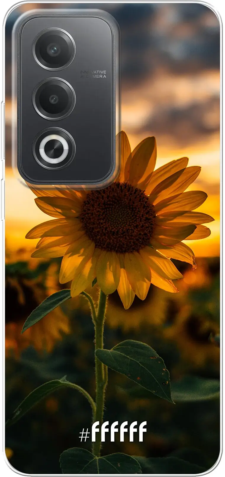 Sunset Sunflower A80