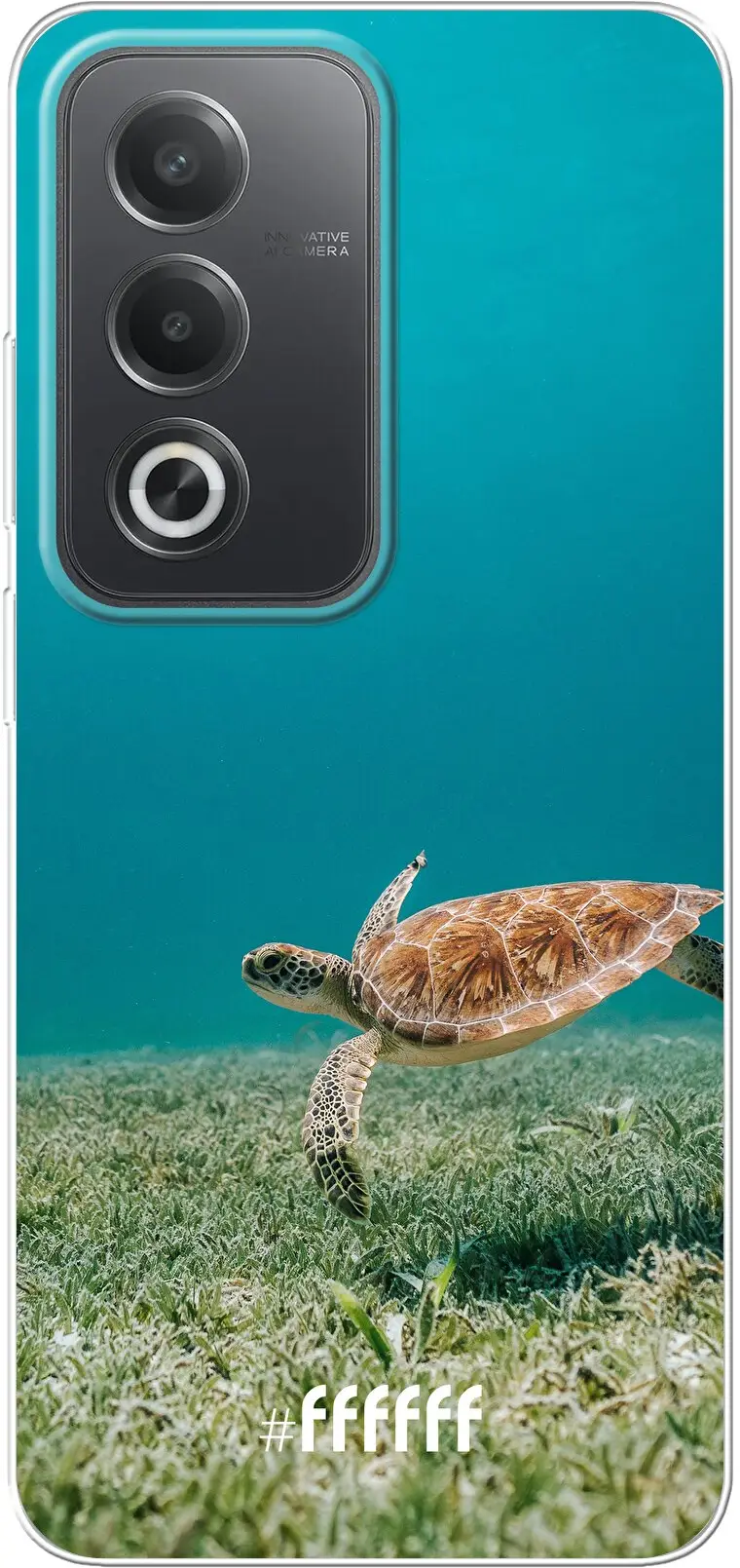 Turtle A80