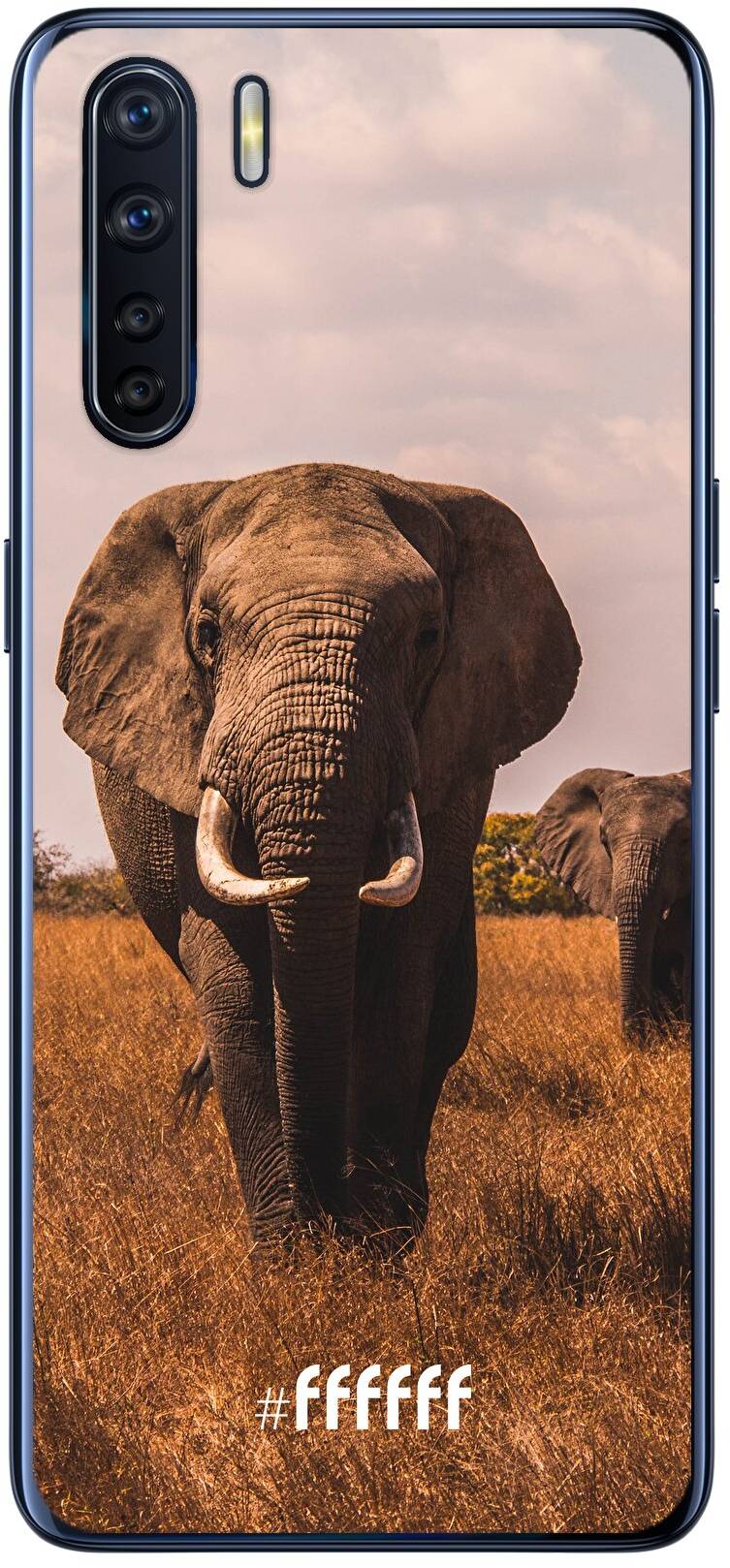 Elephants A91