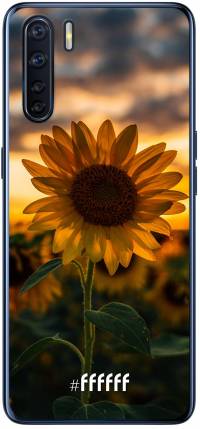 Sunset Sunflower A91