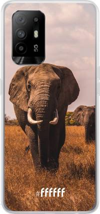 Elephants A94 5G