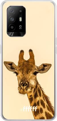 Giraffe A94 5G