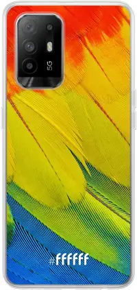 Macaw Hues A94 5G