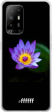 Purple Flower in the Dark A94 5G