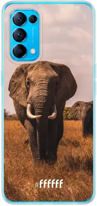 Elephants Find X3 Lite