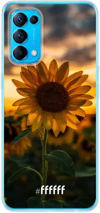 Sunset Sunflower Find X3 Lite