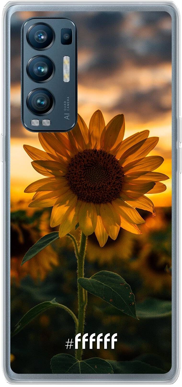 Sunset Sunflower Find X3 Neo