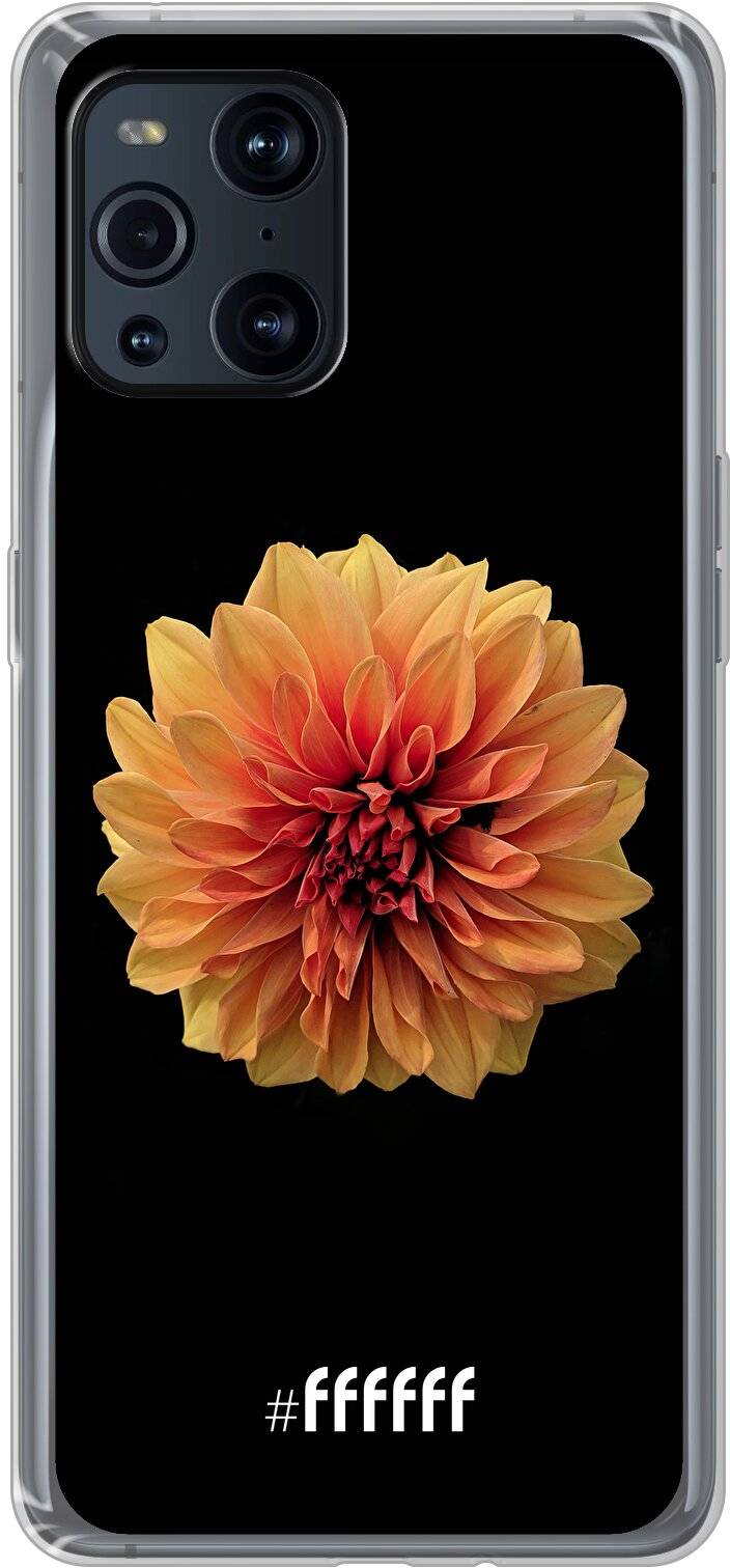 Butterscotch Blossom Find X3 Pro