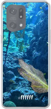 Coral Reef Find X5 Pro