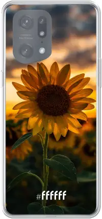 Sunset Sunflower Find X5 Pro