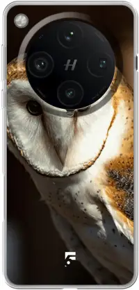 Kerkuil Find X8 Pro