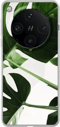 Tropical Plants Find X8 Pro