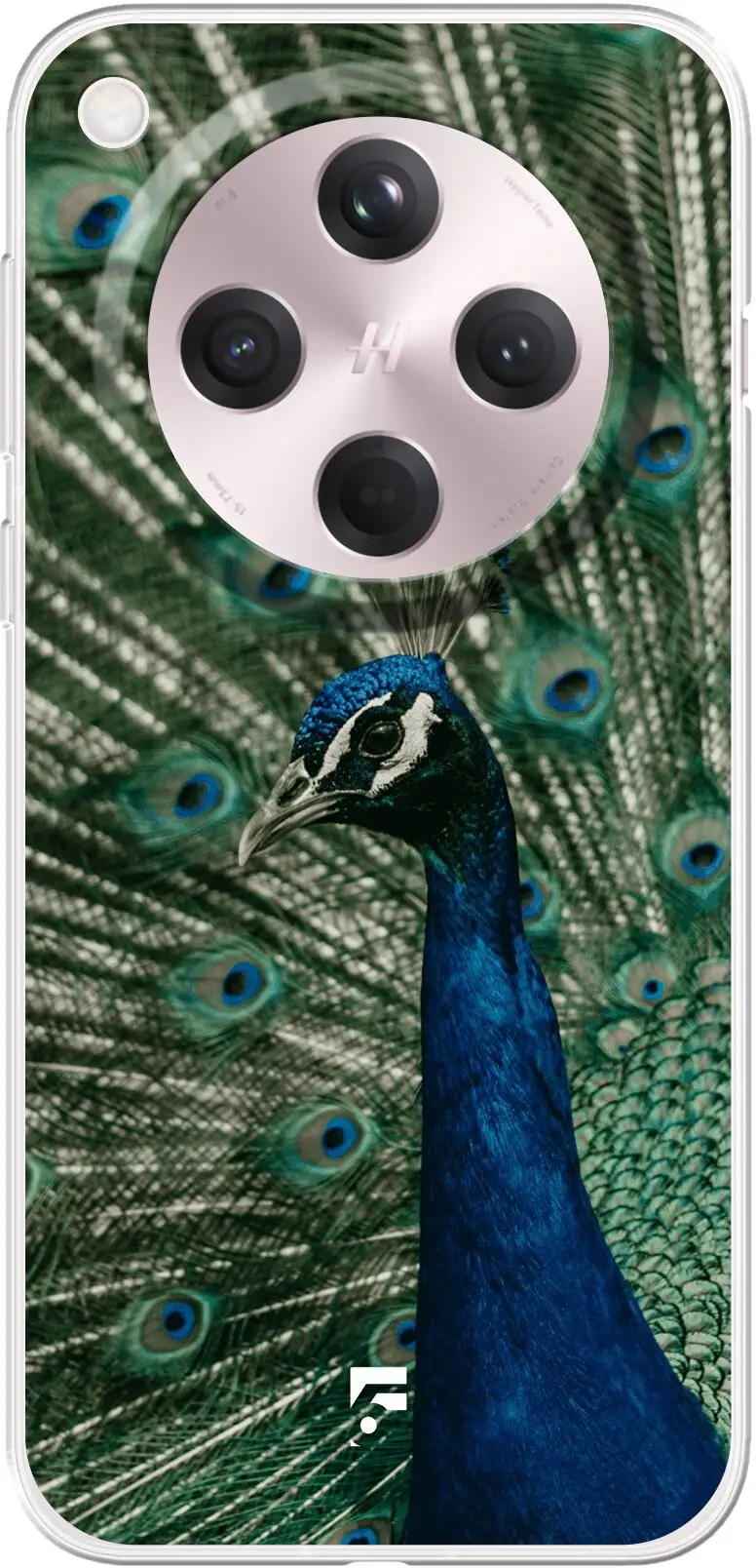 Peacock Find X8