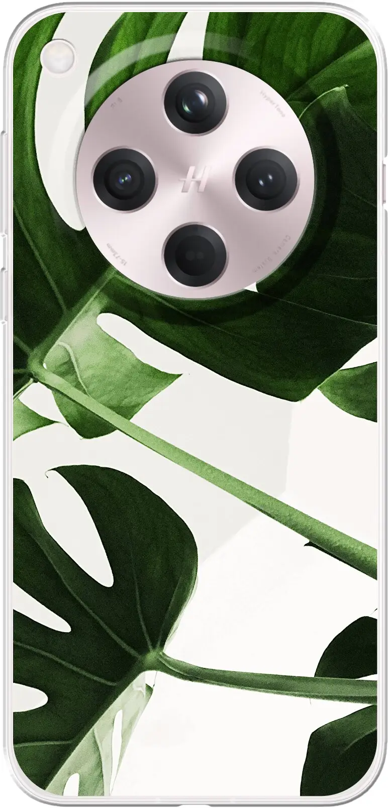 Tropical Plants Find X8