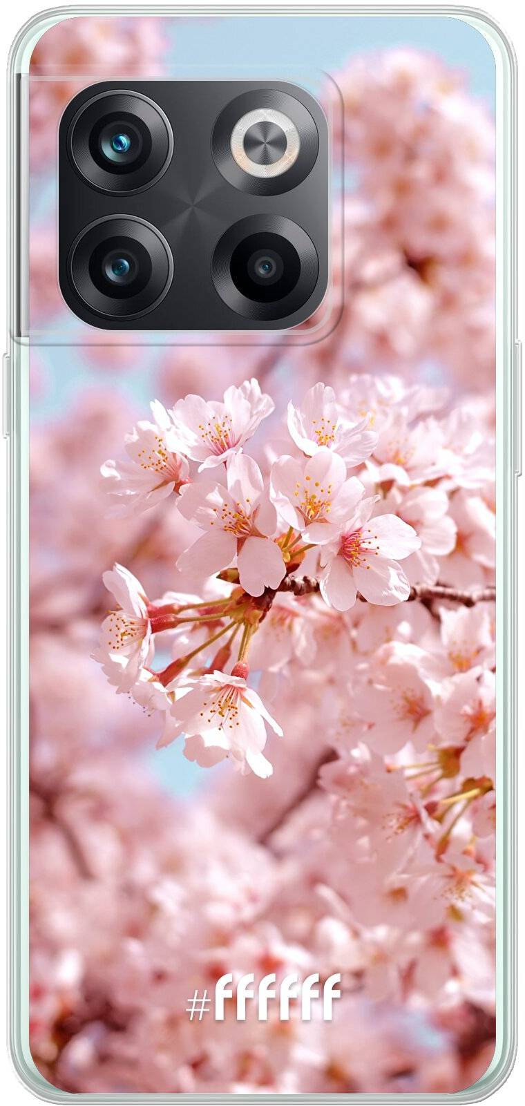 Cherry Blossom 10T