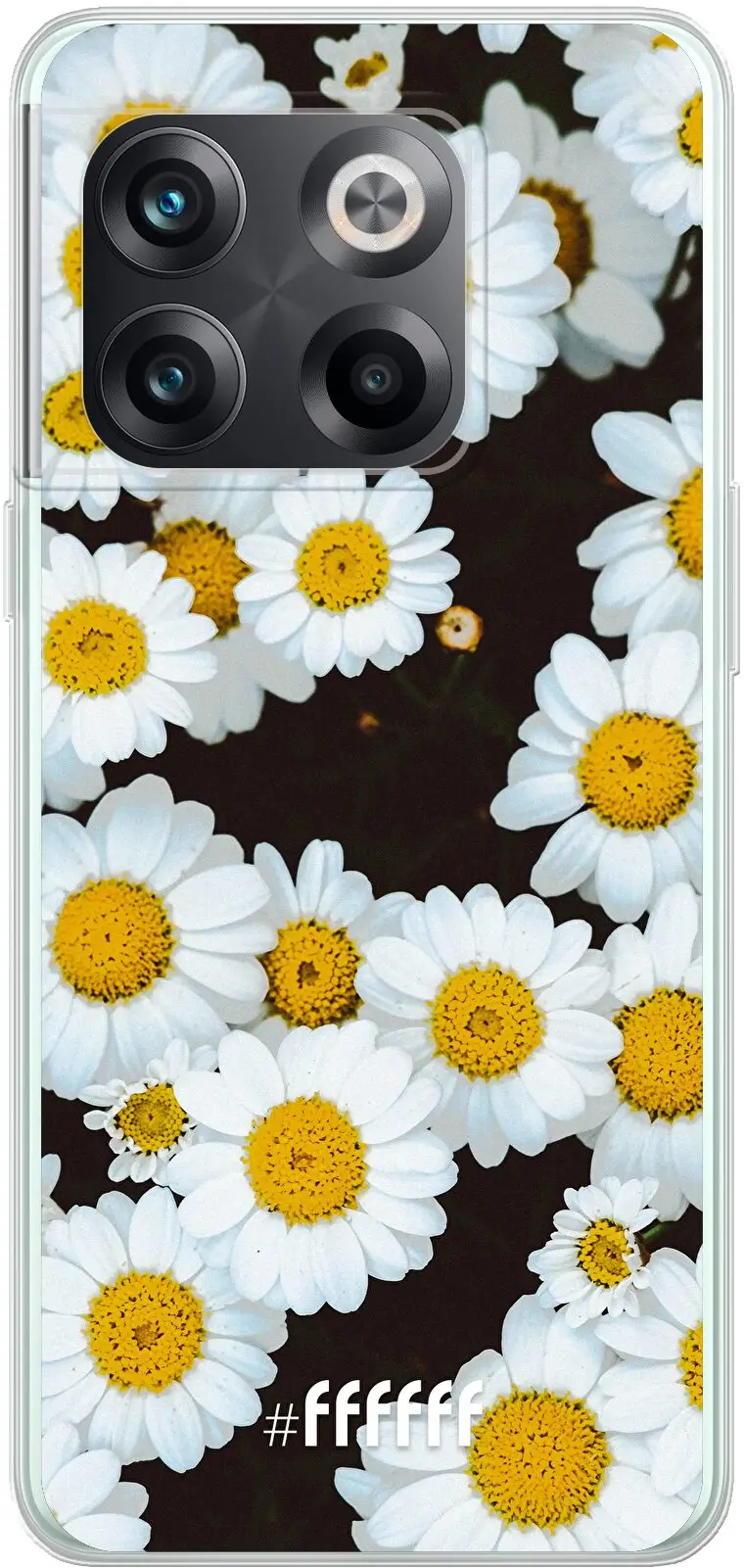 Daisies 10T