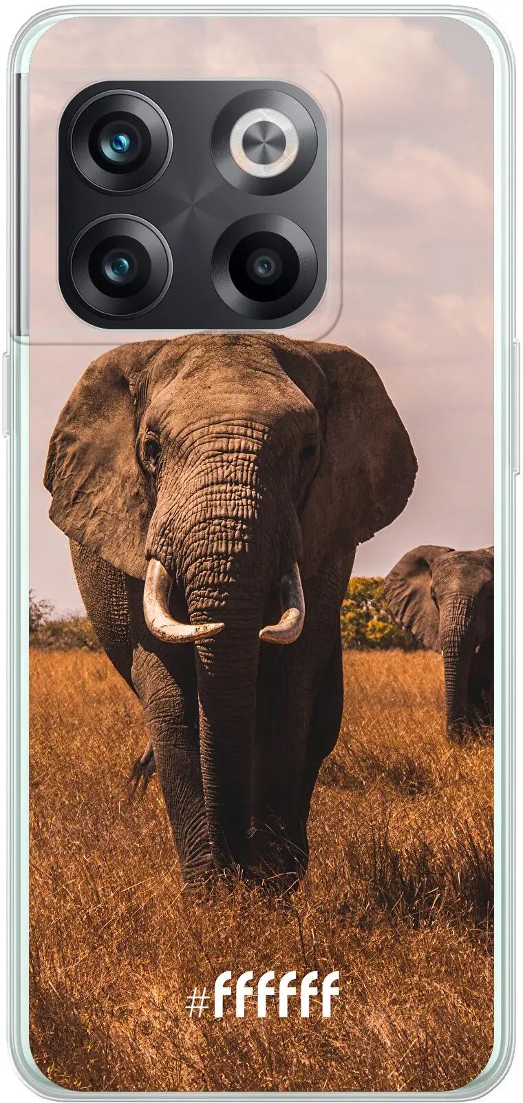 Elephants 10T