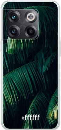 Palm Leaves Dark 10T