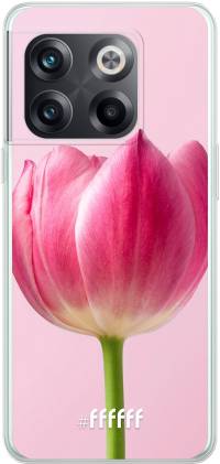 Pink Tulip 10T