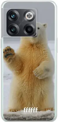 Polar Bear 10T