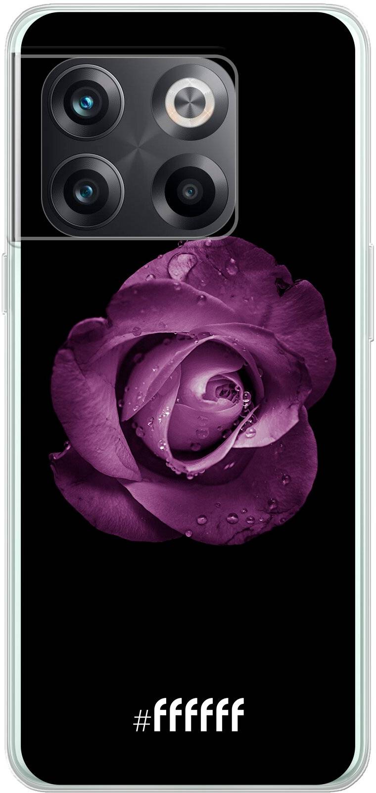 Purple Rose 10T