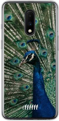 Peacock 7