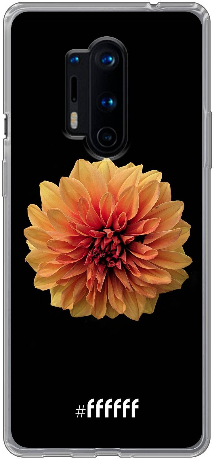 Butterscotch Blossom 8 Pro