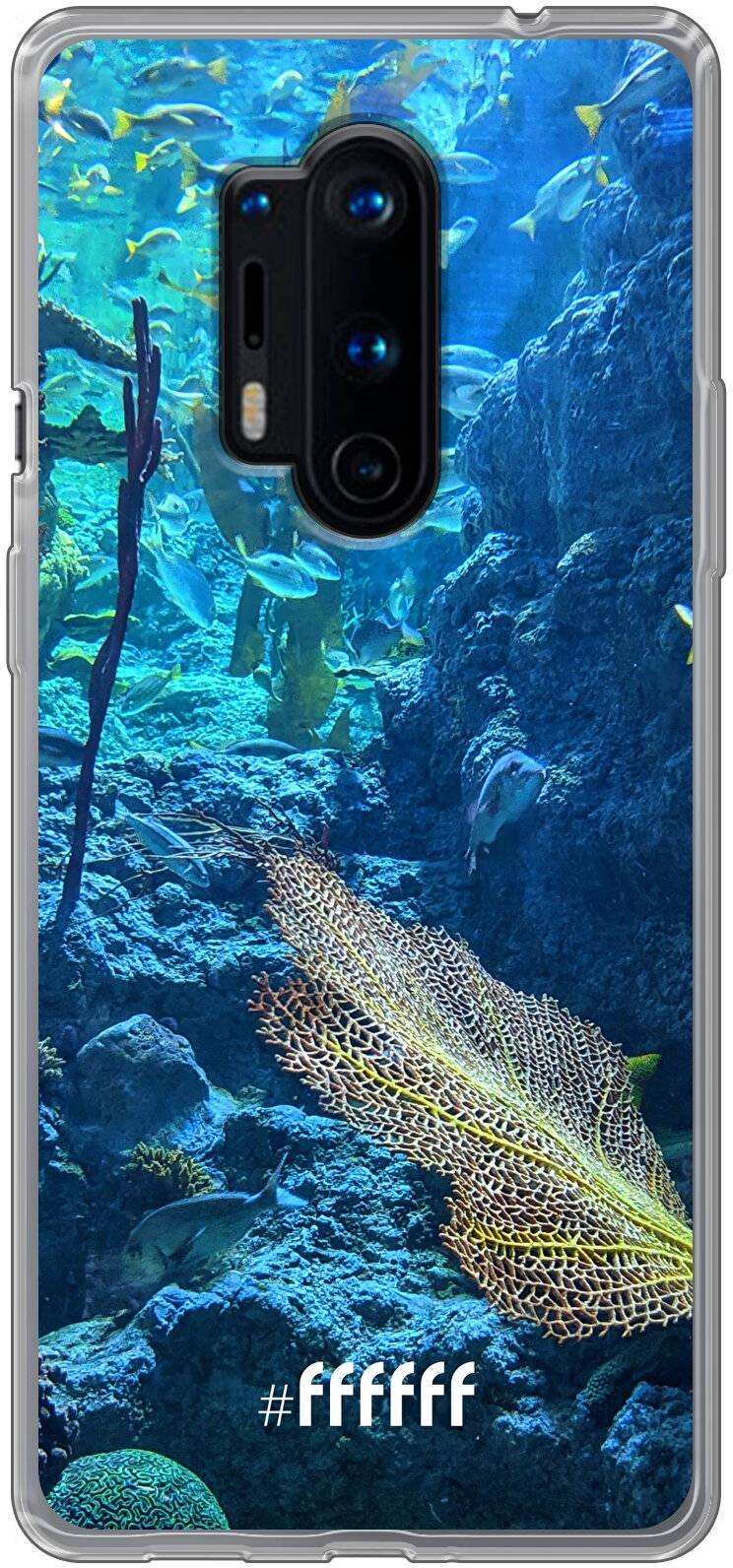 Coral Reef 8 Pro