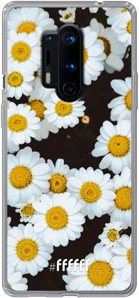 Daisies 8 Pro