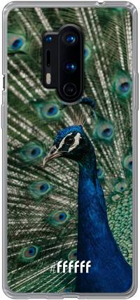 Peacock 8 Pro