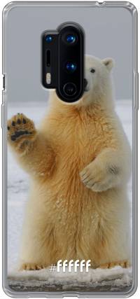 Polar Bear 8 Pro