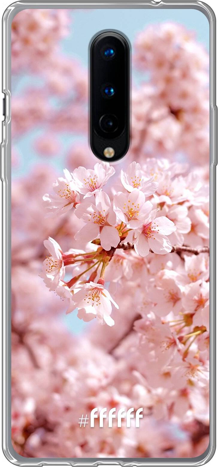 Cherry Blossom 8