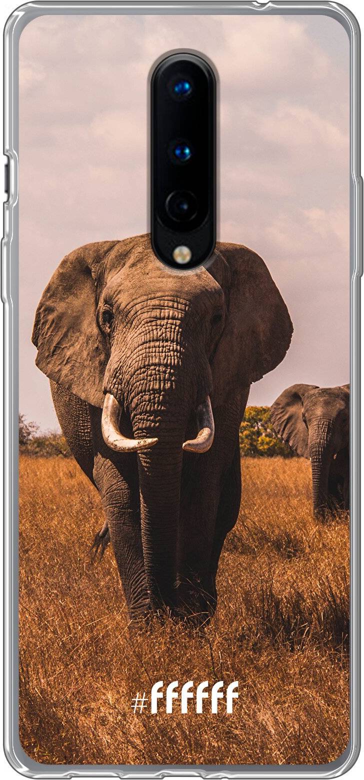 Elephants 8