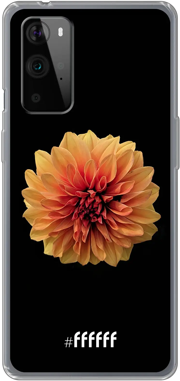 Butterscotch Blossom 9 Pro