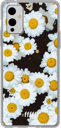 Daisies 9