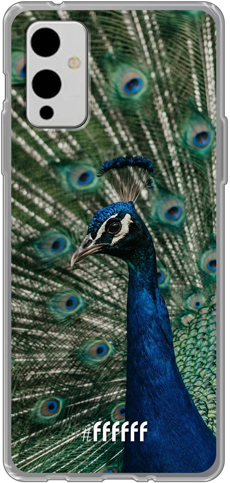 Peacock 9