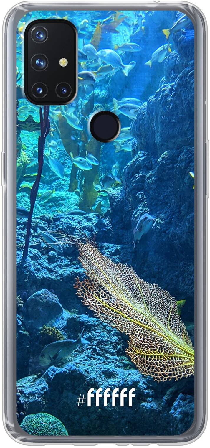 Coral Reef Nord N10 5G