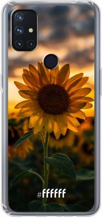 Sunset Sunflower Nord N10 5G