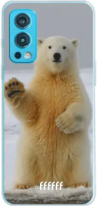 Polar Bear Nord 2 5G