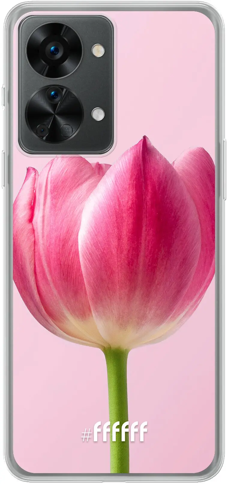 Pink Tulip Nord 2T