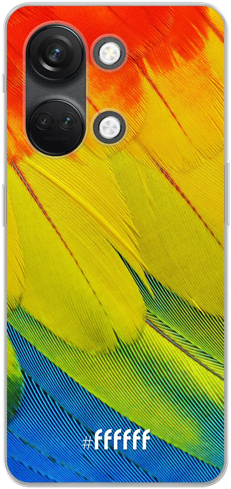 Macaw Hues Nord 3