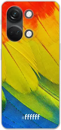 Macaw Hues Nord 3