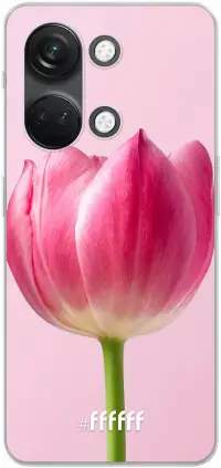 Pink Tulip Nord 3