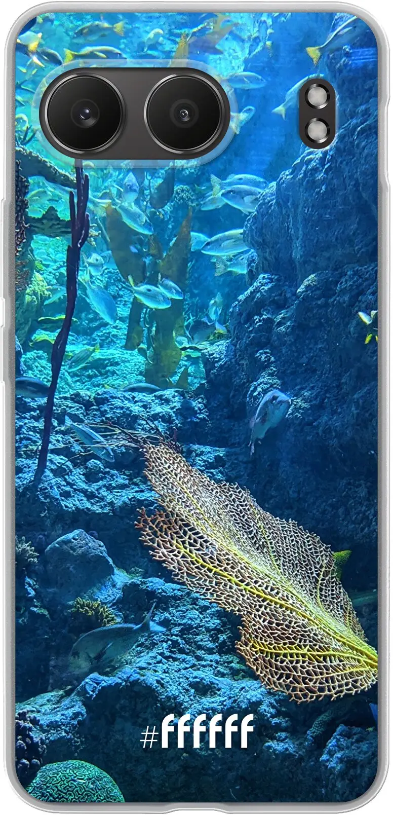 Coral Reef Nord 4