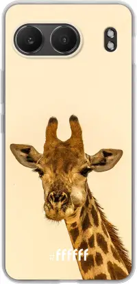 Giraffe Nord 4